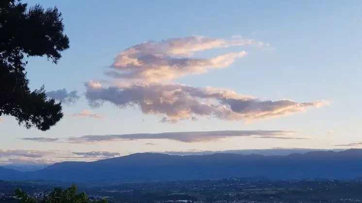 Deluxe Tek Büyük Yataklı Oda (Bella Addormentata)