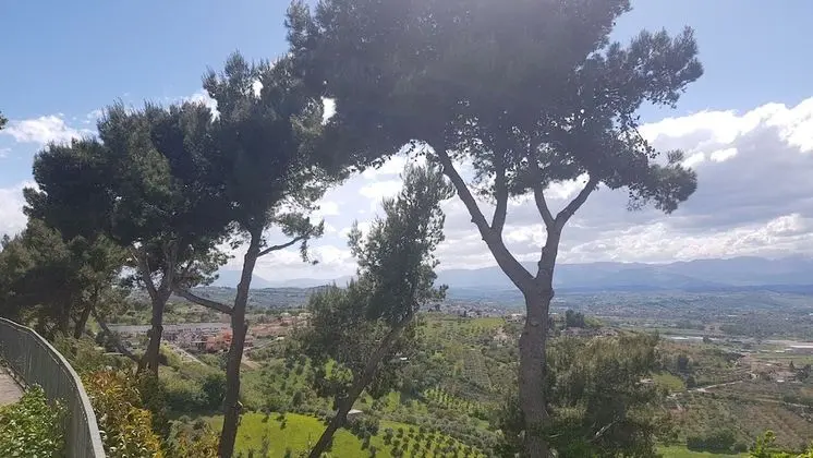 Deluxe Tek Büyük Yataklı Oda (Dalla)