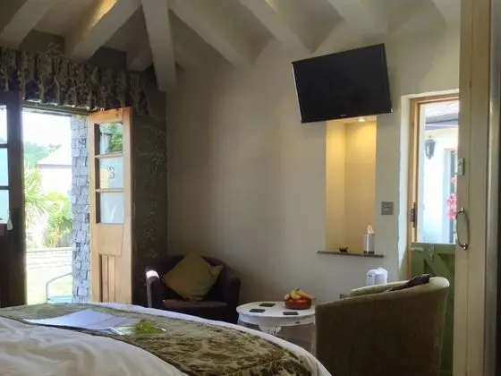Deluxe Tek Büyük veya İki Ayrı Yataklı Oda, Banyolu/Duşlu (4)