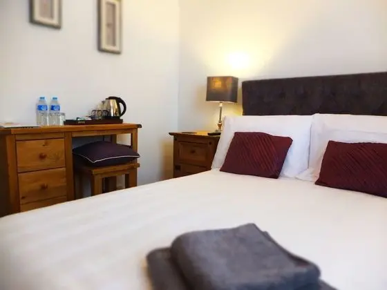 Deluxe Tek Büyük Yataklı Oda, 1 Çift Kişilik Yatak