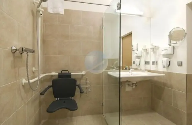 Superior Tek Büyük Yataklı Oda, 1 Yatak Odası