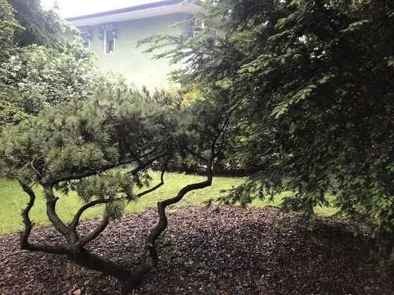 Deluxe Oda, Balkon (New York)