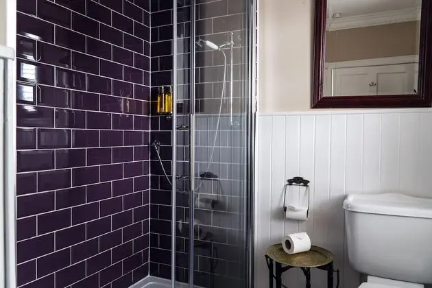 Deluxe Tek Büyük Yataklı Oda, Banyolu/Duşlu