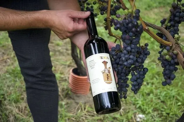 Apart Daire, 1 Yatak Odası, Engellilere Uygun, Balkon