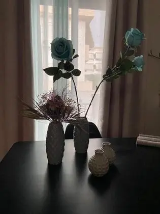 Apart Daire, 2 Yatak Odası, Şömine