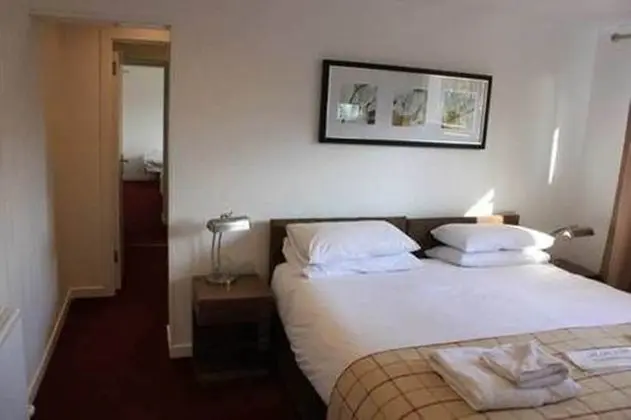 Comfort Tek Büyük Yataklı Oda, 1 En Büyük (King) Boy Yatak, Sigara İçilmez, Özel Banyo