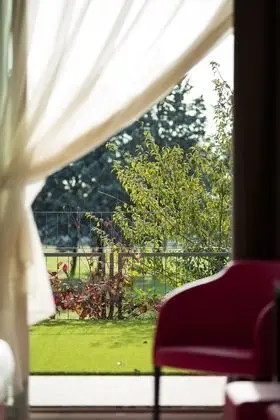 Superior Tek Büyük Yataklı Oda, 1 En Büyük (King) Boy Yatak, Sigara İçilmez