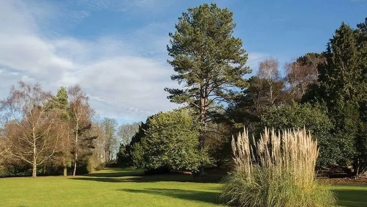 Classic Tek Büyük Yataklı Oda