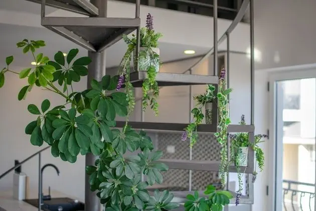 Apart Daire (Brani - A1(4))