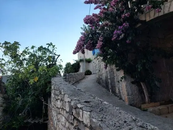 Apart Daire (Branka - nice apartment with stunning)