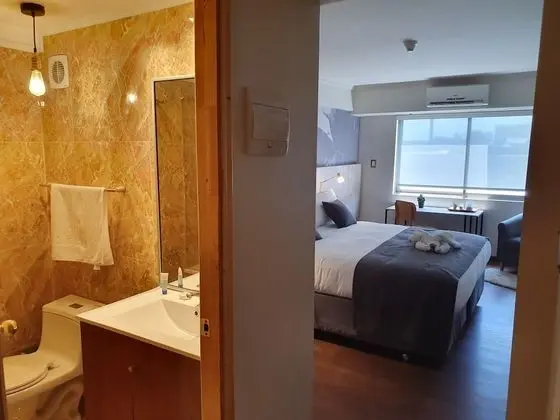 Junior Süit, 1 En Büyük (King) Boy Yatak, Şehir Manzaralı