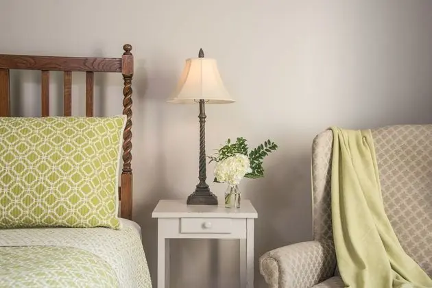 Comfort Tek Büyük Yataklı Oda, Şömine, Dağ Manzaralı (Mt Clark)