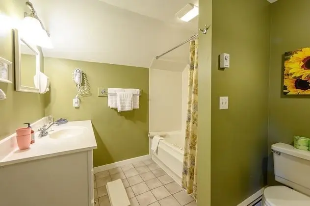 Deluxe Stüdyo Süit, 1 Büyük (Queen) Boy Yatak ve Çekyat, Şömine, Dağ Manzaralı (Mt. Mansfield)