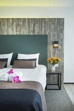 Standard Tek Büyük veya İki Ayrı Yataklı Oda, Balkon