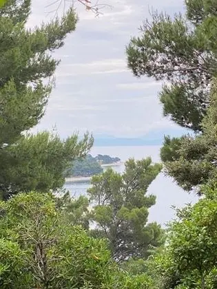 Apart Daire (Bravo - 100 m from beach - A1(3+1))