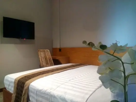 Deluxe Tek Büyük veya İki Ayrı Yataklı Oda