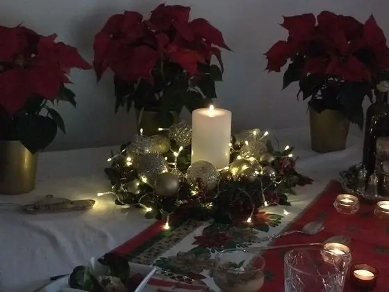 Ev, 3 Yatak Odası, Engellilere Uygun, Şömine