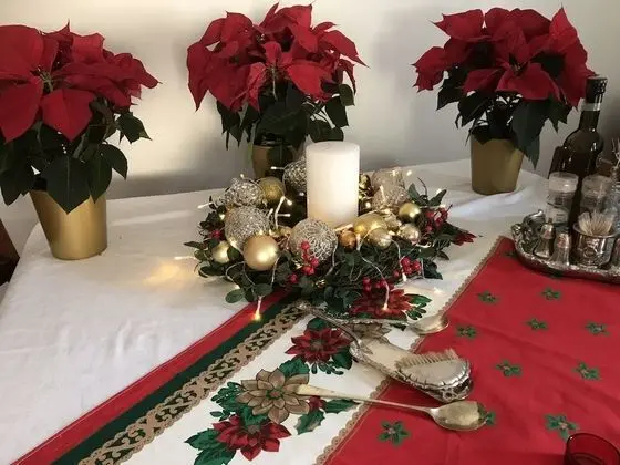 Ev, 3 Yatak Odası, Engellilere Uygun, Şömine