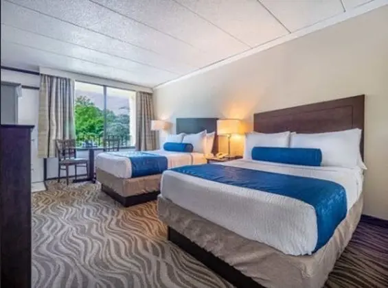 Standard Oda, 2 Çift Kişilik Yatak, Göl Manzaralı (Standard Double Room)