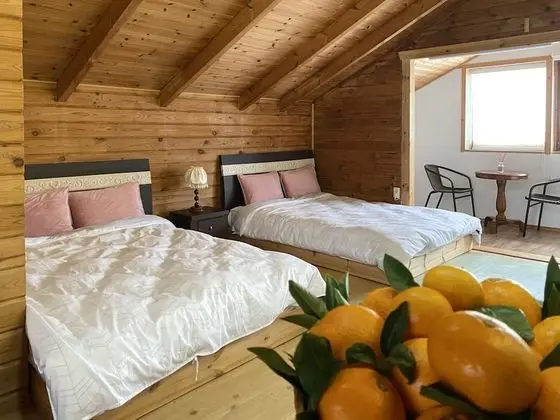 Deluxe İki Ayrı Yataklı Oda