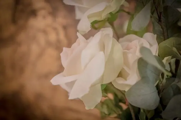 Apart Daire, 4 Yatak Odası