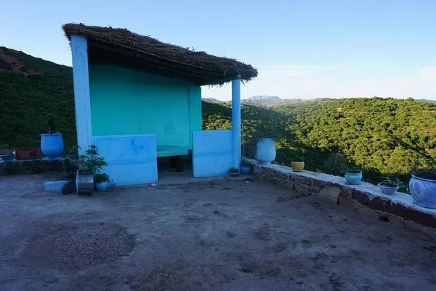 Traditional Oda