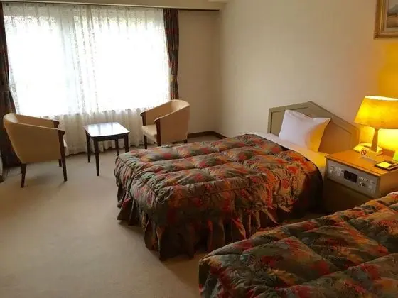 Basic İki Ayrı Yataklı Oda, Sigara İçilmez (Basic Twin Room, Non Smoking)