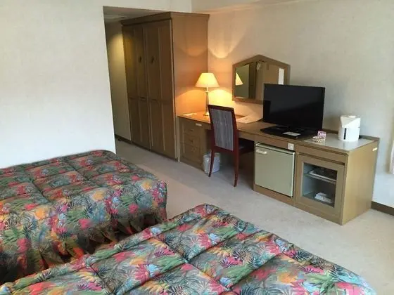 Basic İki Ayrı Yataklı Oda, Sigara İçilmez (Basic Twin Room, Non Smoking)