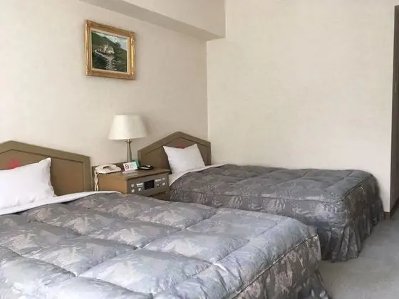 Basic İki Ayrı Yataklı Oda, Sigara İçilmez (Basic Twin Room, Non Smoking)