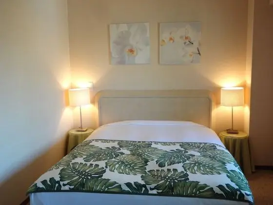 Standard Tek Büyük Yataklı Oda (Tropical Style)
