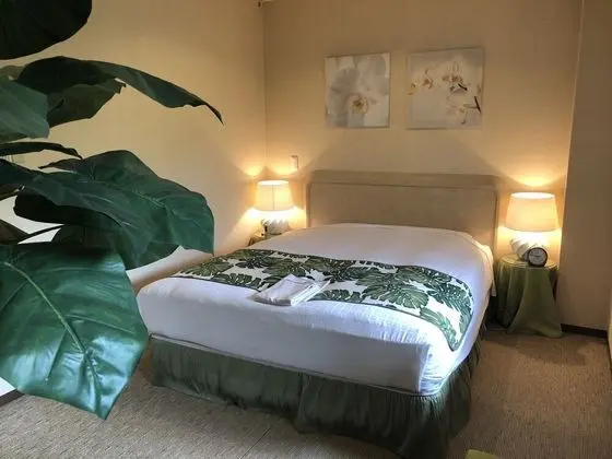 Standard Tek Büyük Yataklı Oda (Tropical Style)