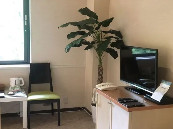 Standard Tek Büyük Yataklı Oda (Tropical Style)