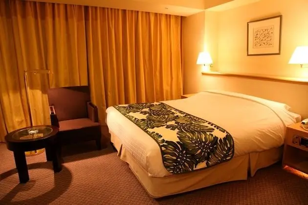 Deluxe Tek Büyük Yataklı Oda, Sigara İçilebilir, Şehir Manzaralı