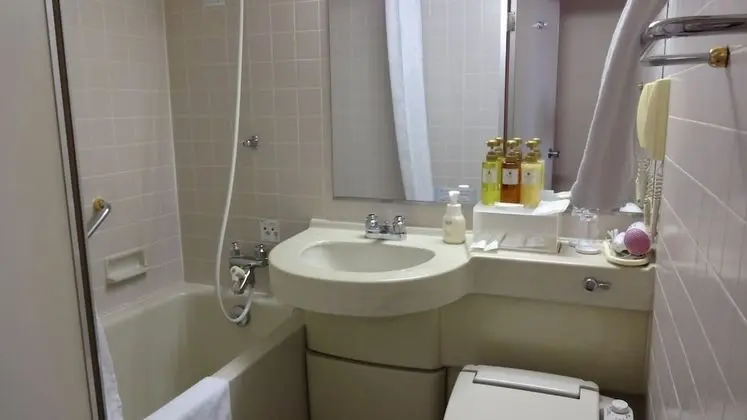 Deluxe Tek Büyük Yataklı Oda, Sigara İçilebilir, Şehir Manzaralı