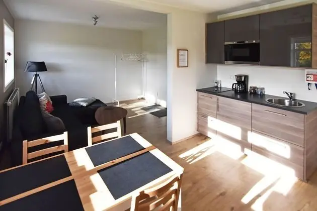 Comfort Apart Daire, 1 Yatak Odası (Apt 12)