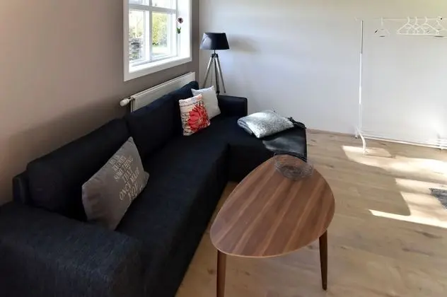 Comfort Apart Daire, 1 Yatak Odası (Apt 12)