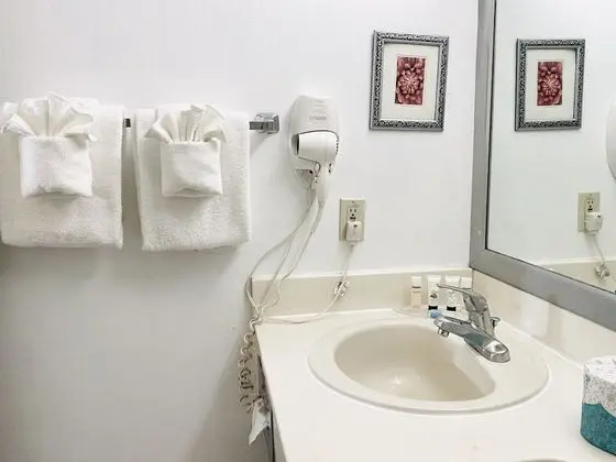 Standard Oda, 1 En Büyük (King) Boy Yatak, Sigara İçilmez