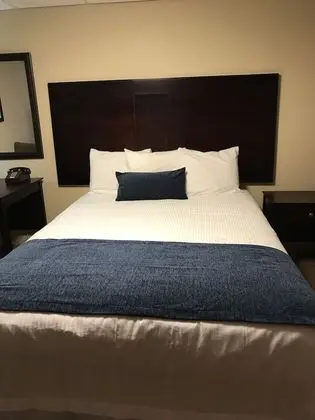 Standard Oda, 1 Büyük (Queen) Boy Yatak, Buzdolabı ve Mikrodalga