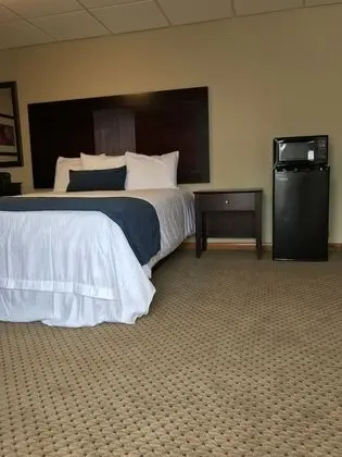 Standard Oda, 1 Büyük (Queen) Boy Yatak, Buzdolabı ve Mikrodalga