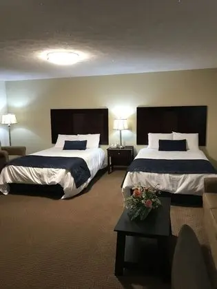 Standard Tek Büyük Yataklı Oda, 2 Çift Kişilik Yatak, Buzdolabı ve Mikrodalga