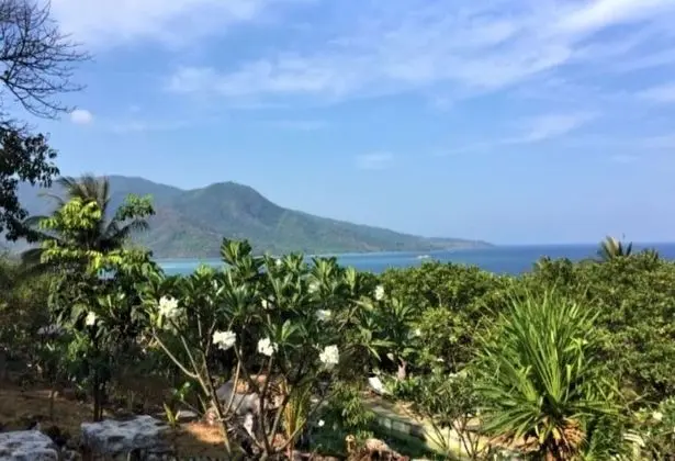 Standard Oda (Sea Hill Cottage)
