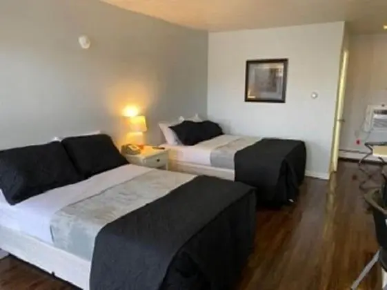 Basic Oda, 2 Çift Kişilik Yatak (Pet Friendly)
