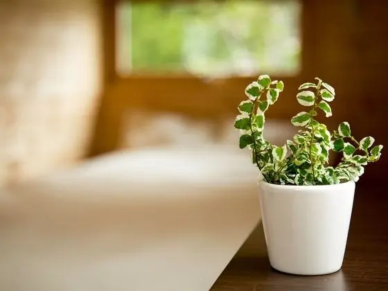 Economy Tek Büyük Yataklı Oda, Sigara İçilmez (with Loft)