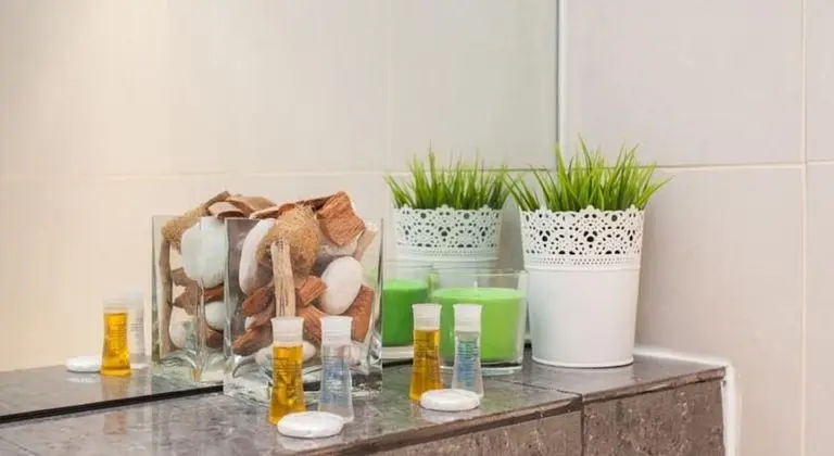 Luxury Apart Daire, 1 Yatak Odası, Özel Banyo, Şehir Manzaralı