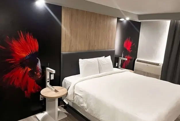 Premier Oda, 1 En Büyük (King) Boy Yatak (Newly Renovated)