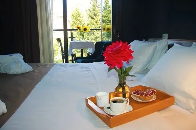 Superior Tek Büyük Yataklı Oda