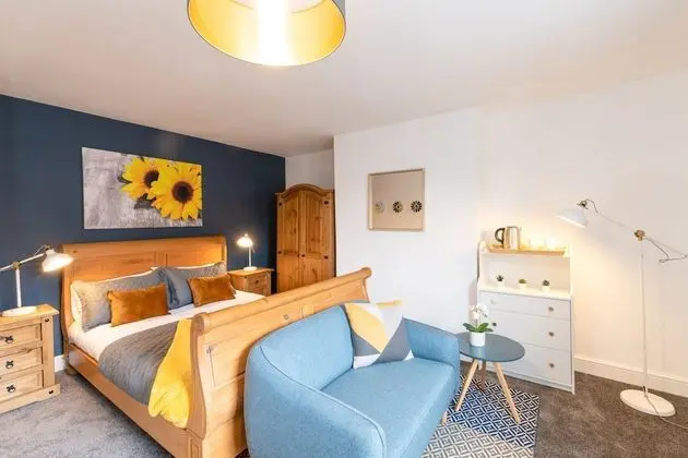 Deluxe Tek Büyük Yataklı Oda, Banyolu/Duşlu, Şehir Manzaralı