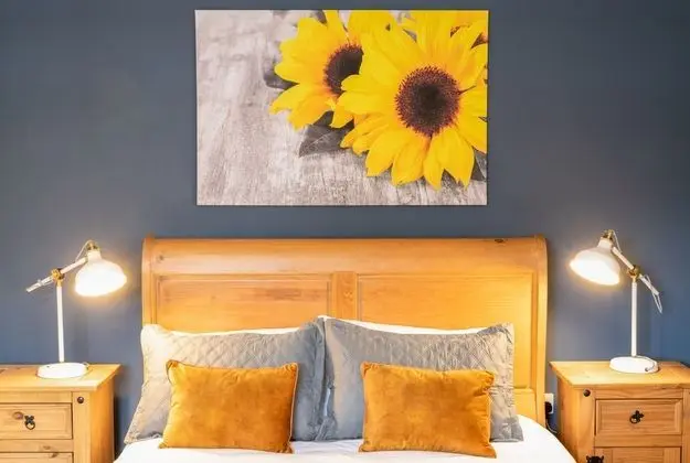 Deluxe Tek Büyük Yataklı Oda, Banyolu/Duşlu, Şehir Manzaralı