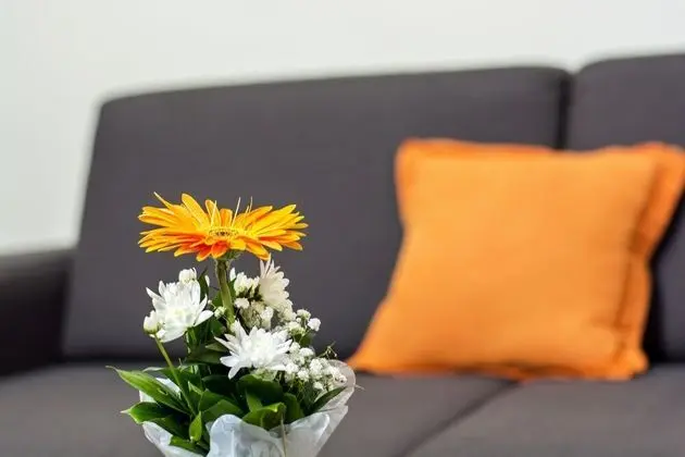 Apart Daire, 1 Yatak Odası, Şehir Manzaralı