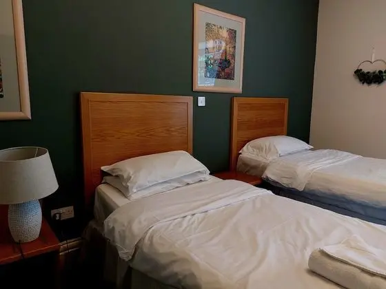 Standard İki Ayrı Yataklı Oda, 2 Tek Kişilik Yatak, Sigara İçilmez